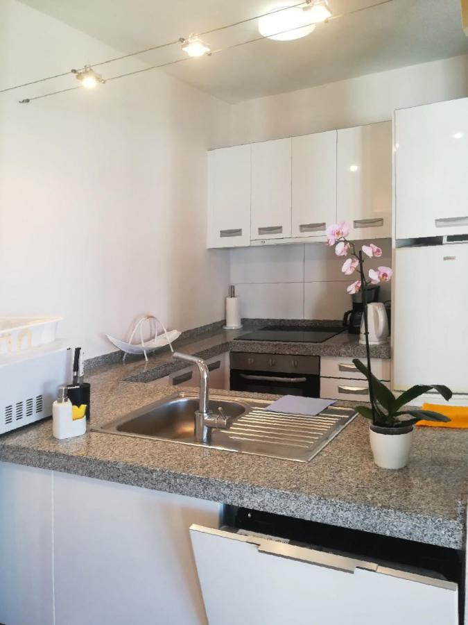 Apartment Viparaiso アデヘ エクステリア 写真