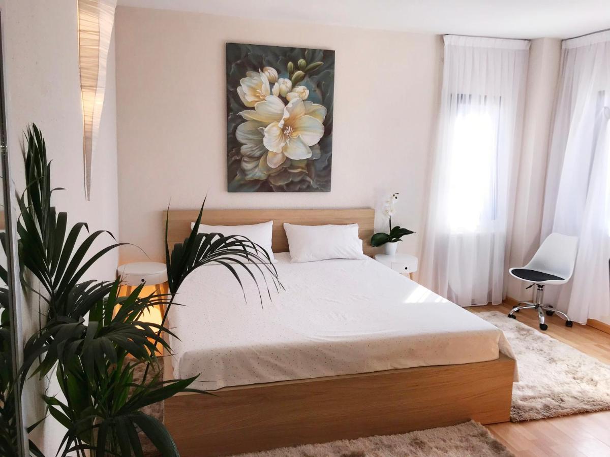 Apartment Viparaiso アデヘ エクステリア 写真